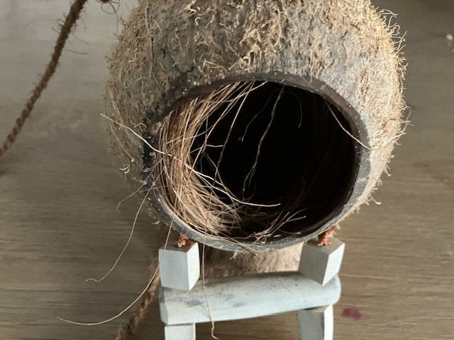 Natural Coconut Shell Pet Hideaway: Eco-Friendly Shelter for Happy Pets, Bird Feeder, Garden Ornament Free Shipping in Canada