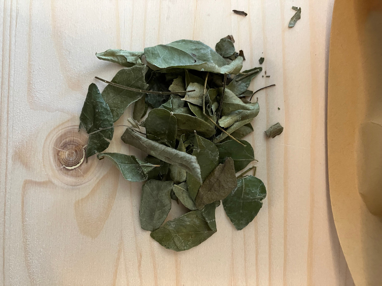 Rampe Curry Leaves Combo Pack for Sri Lankan Cooking Free Shipping from Canada