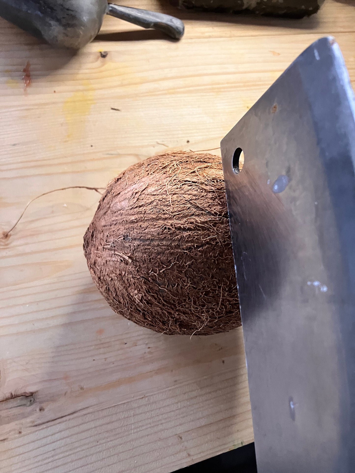 2 Fresh Coconuts Perfect for Sri Lankan cooking Shipped from Canada
