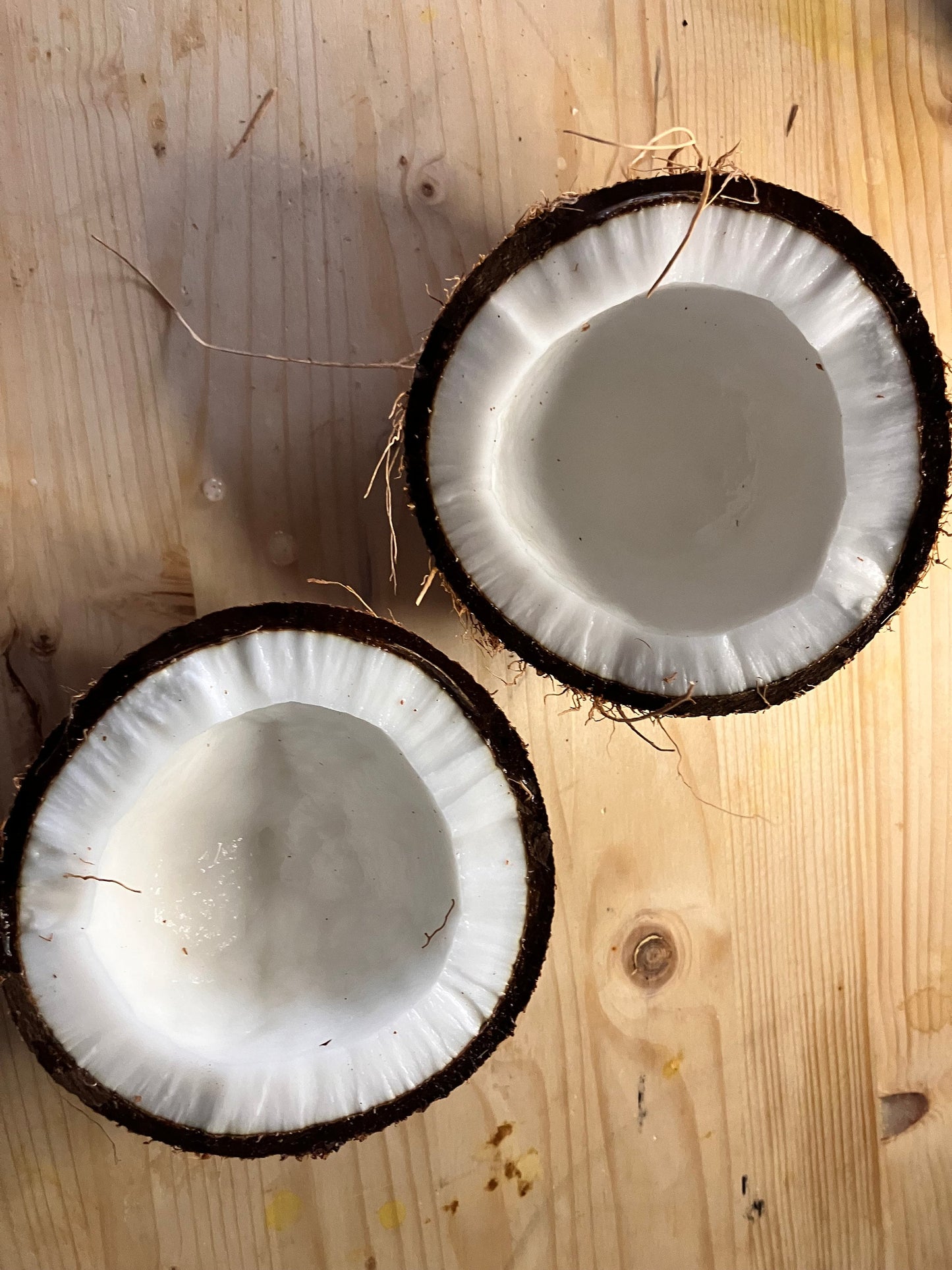 2 Fresh Coconuts Perfect for Sri Lankan cooking Shipped from Canada
