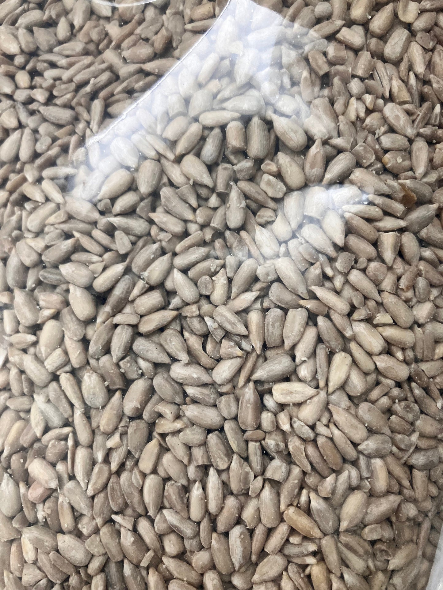 2 lb Shelled Sunflower Seeds Free Shipped Worldwide from Canada