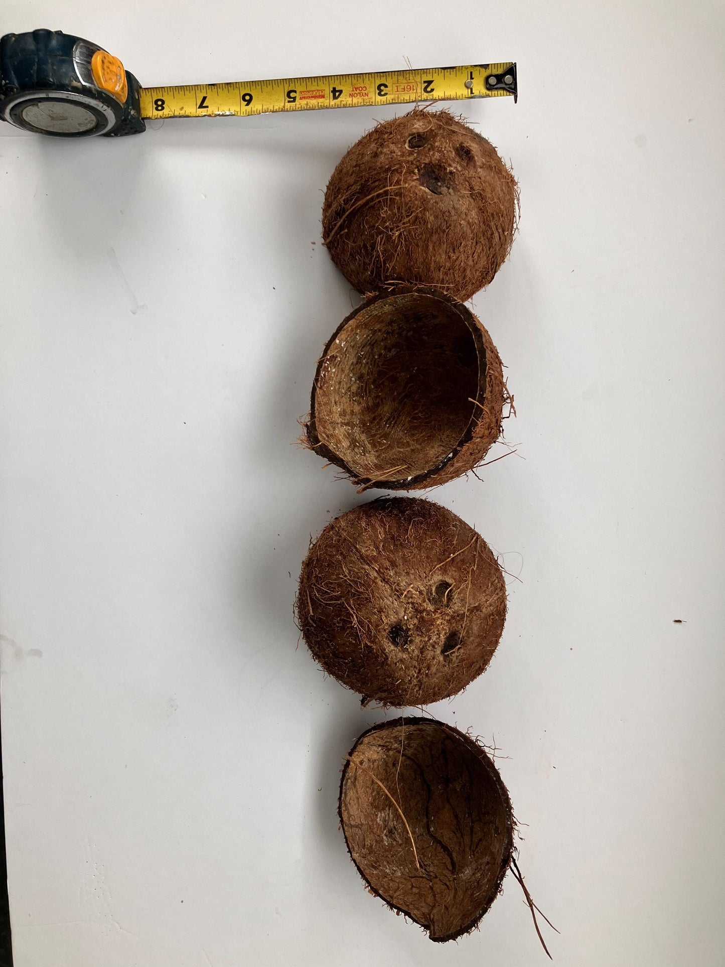 Coconut Shell Half ,Natural With Fiber, For Handicrafts ,Tropical Decoration Coconut Shell Half Shipped from Canada World Wide