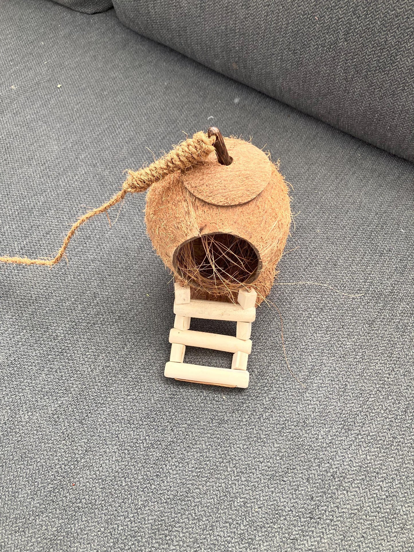 Natural Coconut Shell Pet Hideaway: Eco-Friendly Shelter for Happy Pets, Bird Feeder, Garden Ornament Free Shipping in Canada