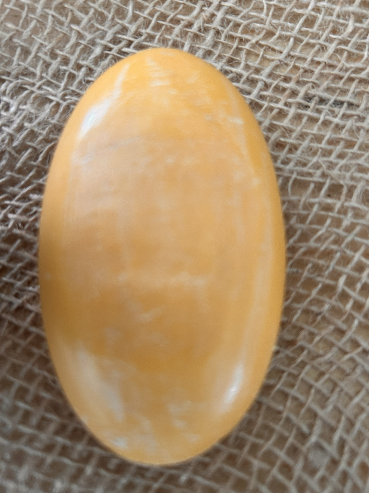 Handmade Sandalwood Soap in Coconut Shell | Eco Spa Gift