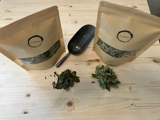 Rampe Curry Leaves Combo Pack for Sri Lankan Cooking Free Shipping from Canada