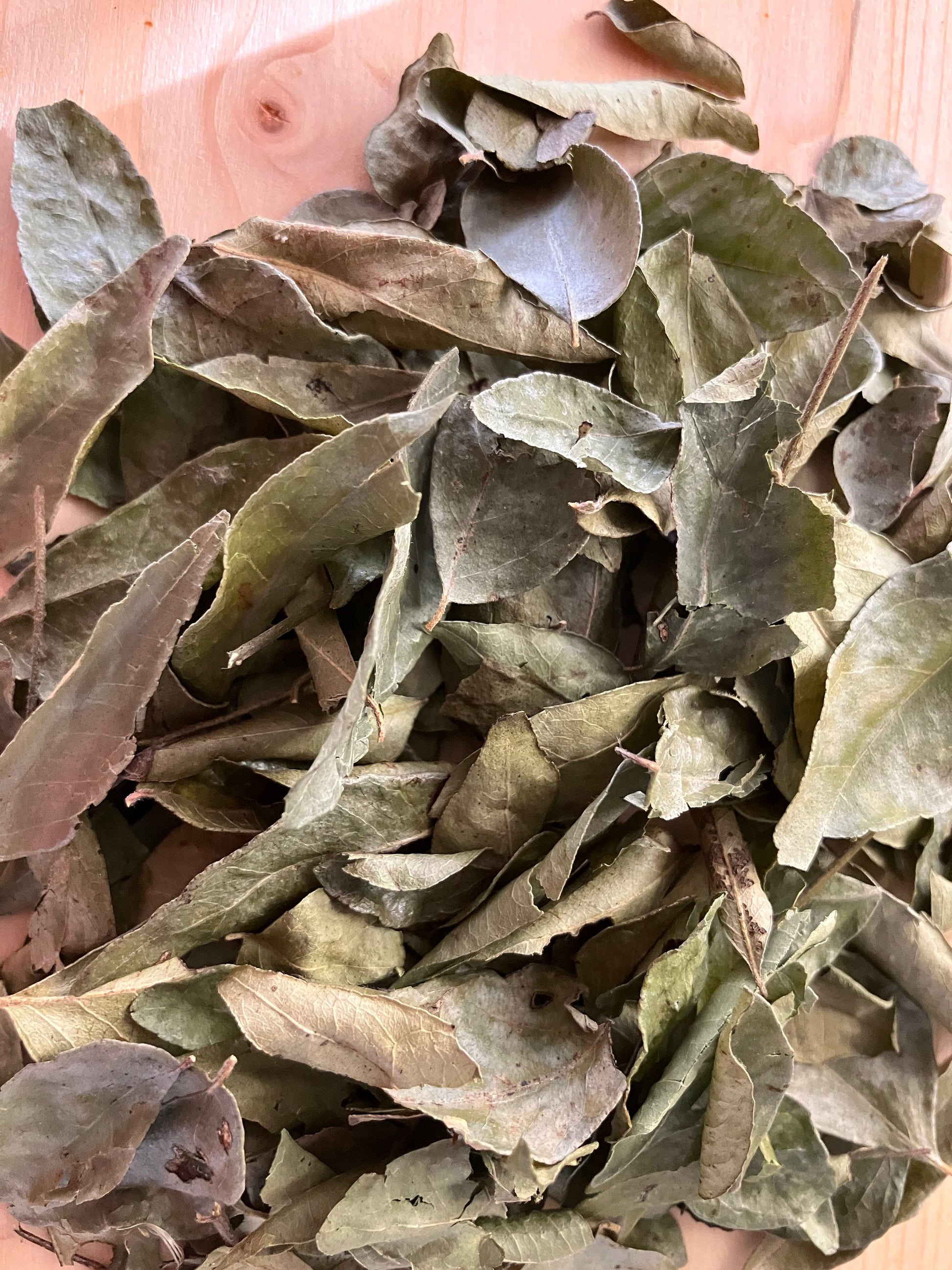 Dried Curry Leaves From Sri Lanka Shipped from Canada