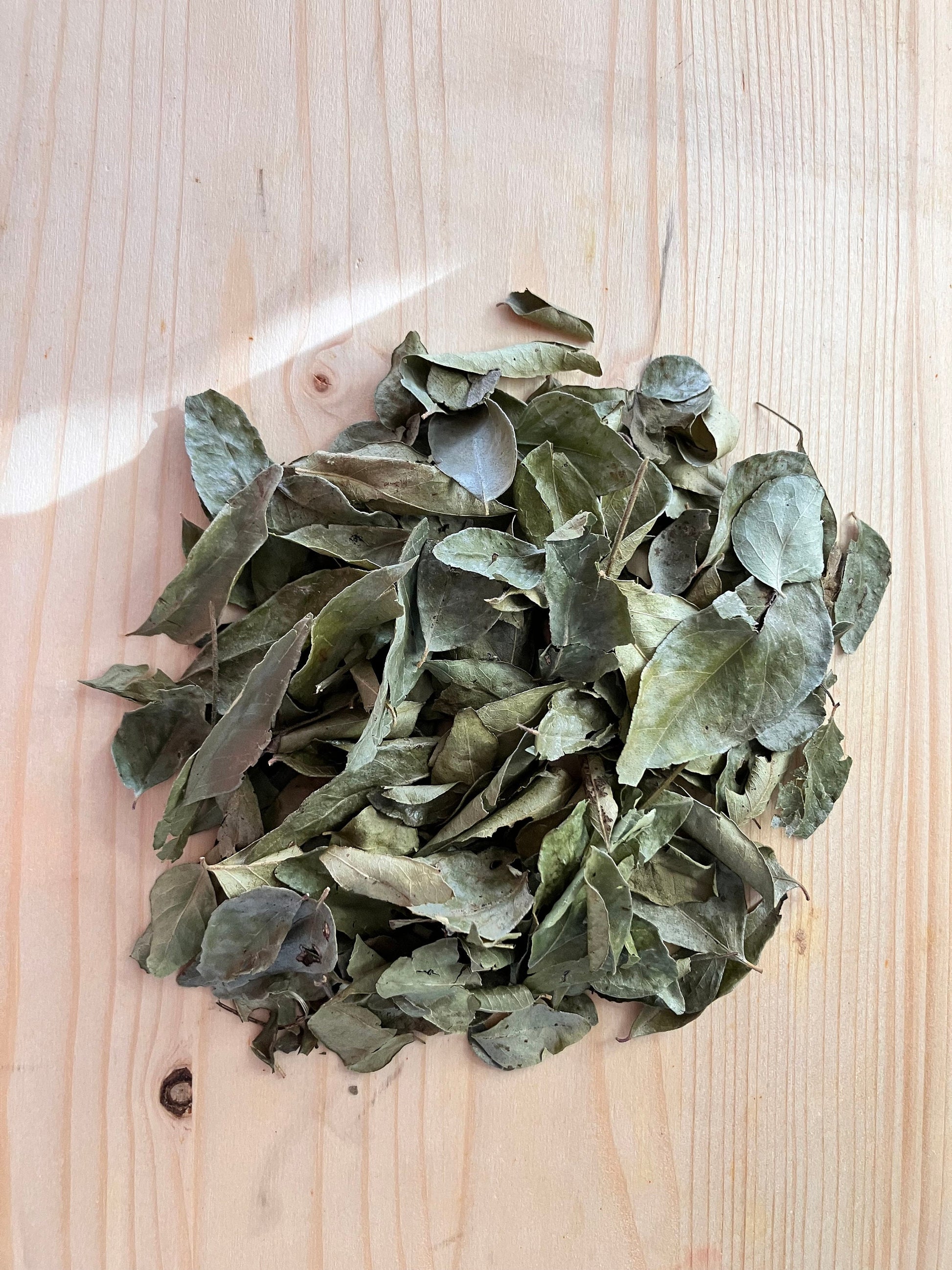 Dried Curry Leaves From Sri Lanka Shipped from Canada
