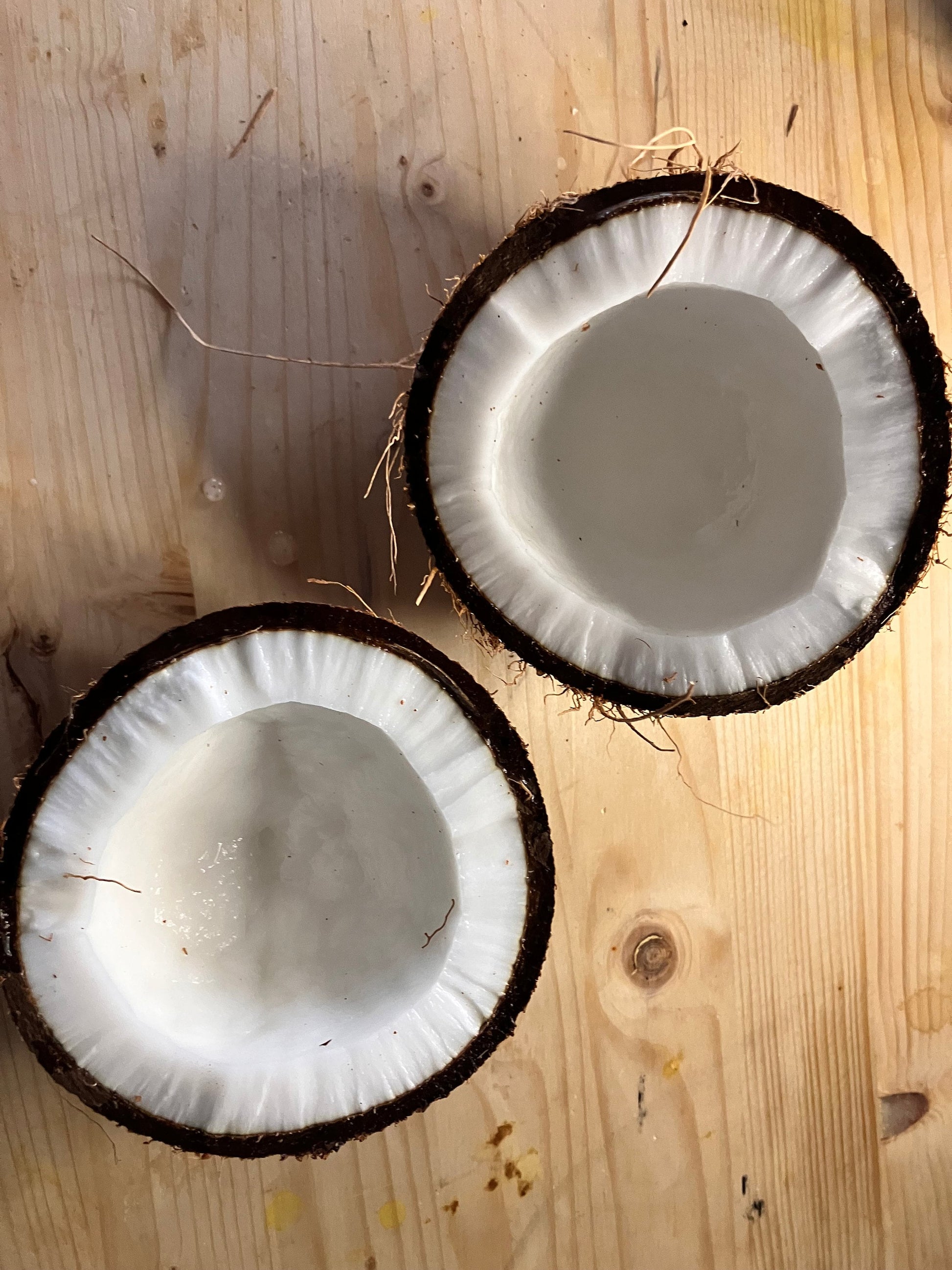 2 Fresh Coconuts Perfect for Sri Lankan cooking Shipped from Canada