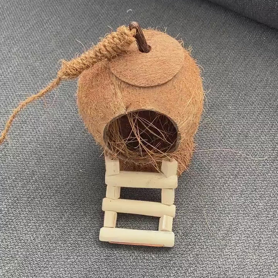 Natural Coconut Shell Pet Hideaway: Eco-Friendly Shelter for Happy Pets, Bird Feeder, Garden Ornament Free Shipping in Canada