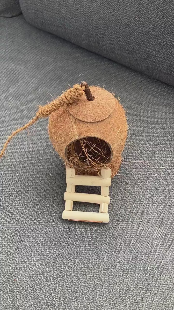 Natural Coconut Shell Pet Hideaway: Eco-Friendly Shelter for Happy Pets, Bird Feeder, Garden Ornament Free Shipping in Canada